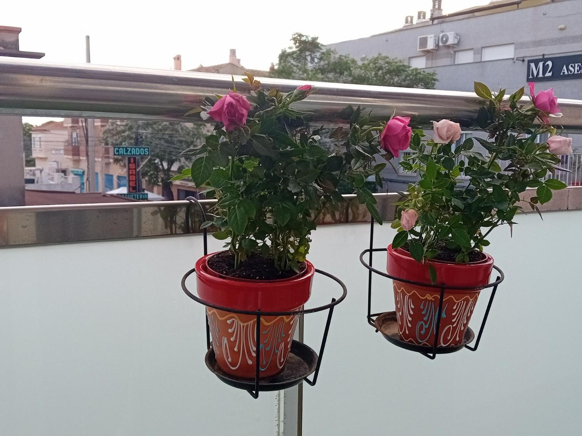 El Estudio De Las Mariposas,Sofa Cama , Cocina Y Bano Partida de La Cañada Esterno foto